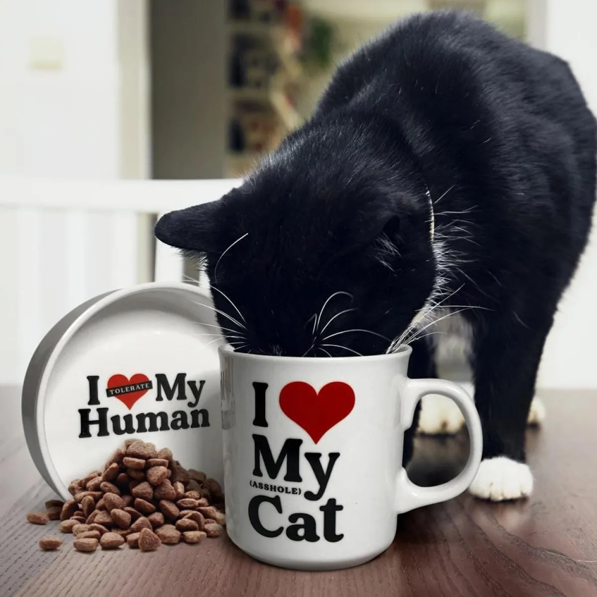 Cats | Shop All Table>Genuine Fred CERAMIC MUG + CAT BOWL SET