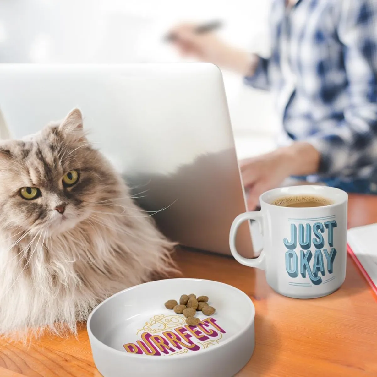 Cats | Shop All Table>Genuine Fred CERAMIC MUG + CAT BOWL SET