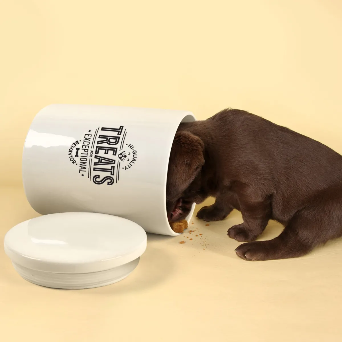 Dogs>Genuine Fred CERAMIC TREAT JAR