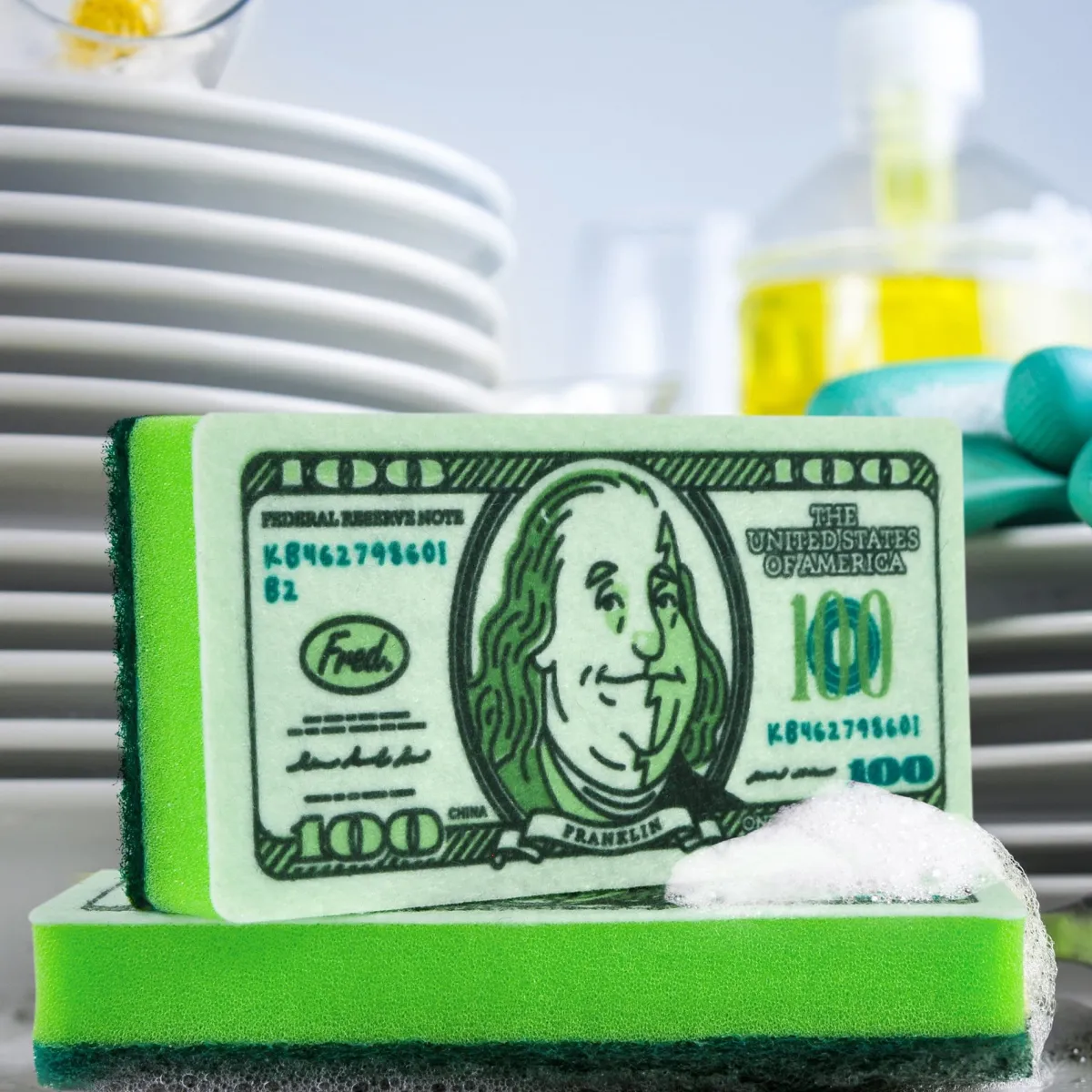 Cleaning | Sponges>Genuine Fred DIRTY MONEY